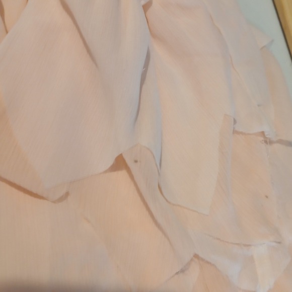 Aerie Sleeveless Drop Waist Ruffle Petal Dress Tank Peach Pink Medium Fairy Mesh - Picture 6 of 12